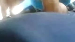 টিম স্কিটের লোভনীয় আরিয়া ব্যাঙ্কস, এলে ভোনেভা, জেড নাইল এবং জেডেন ব্ল্যাক নিয়ে চুদাচুদি ভিডিও চুদাচুদি ভিডিও মিশনারি মুভি